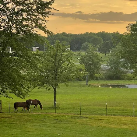 Horse Hideaway Fenced In Back Yard Dogs Welcome